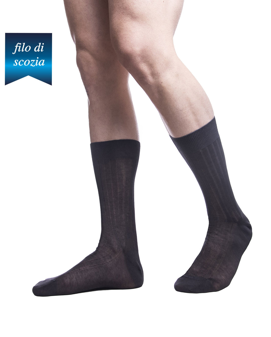 Calze Corte Uomo Costine Filo Scozia (6 Paia) - 8554 Sistro