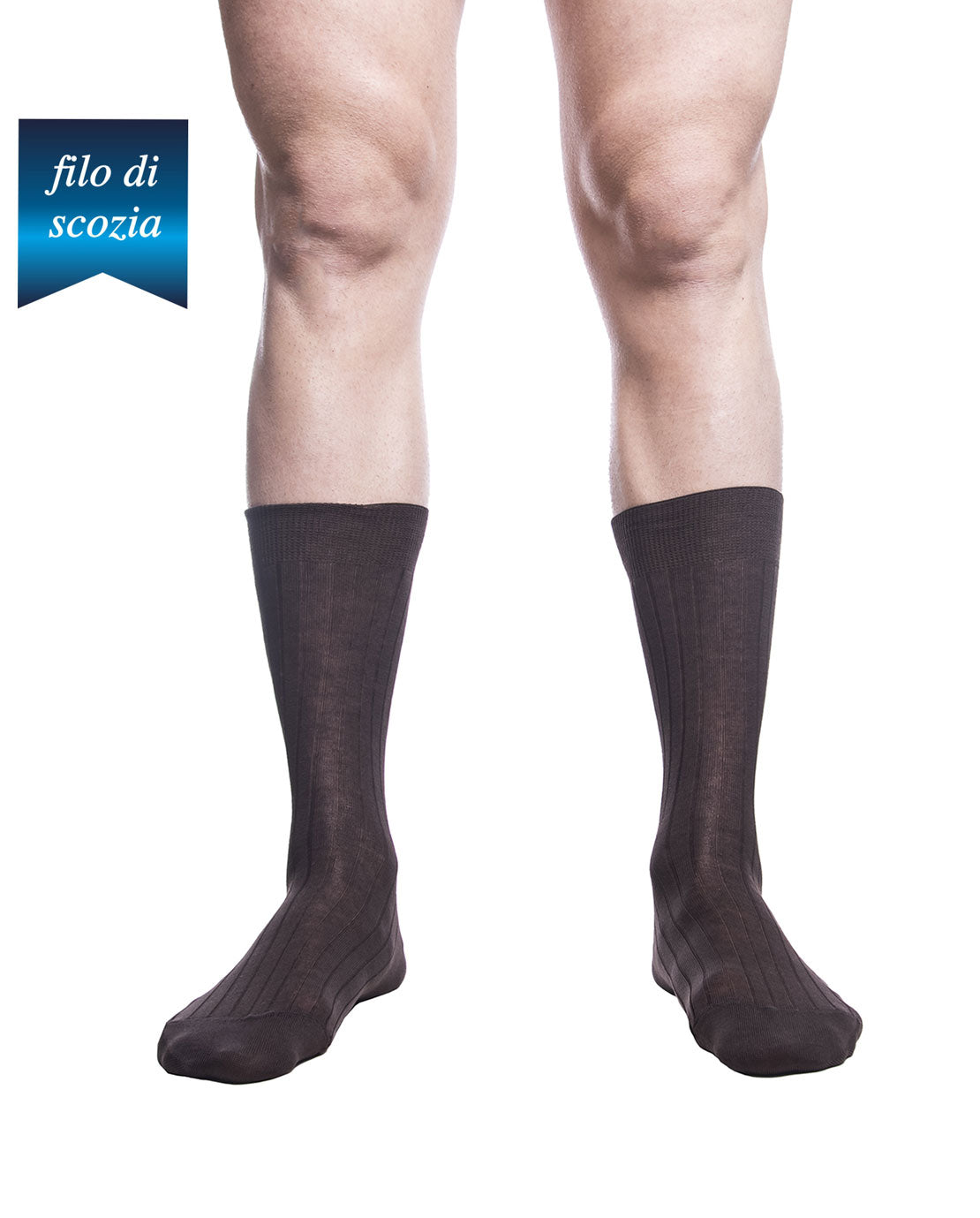 Calze Corte Uomo Costine Filo Scozia (6 Paia) - 8554 Sistro