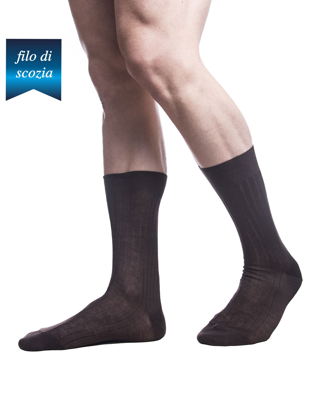 Calze Corte Uomo Costine Filo Scozia (6 Paia) - 8554 Sistro