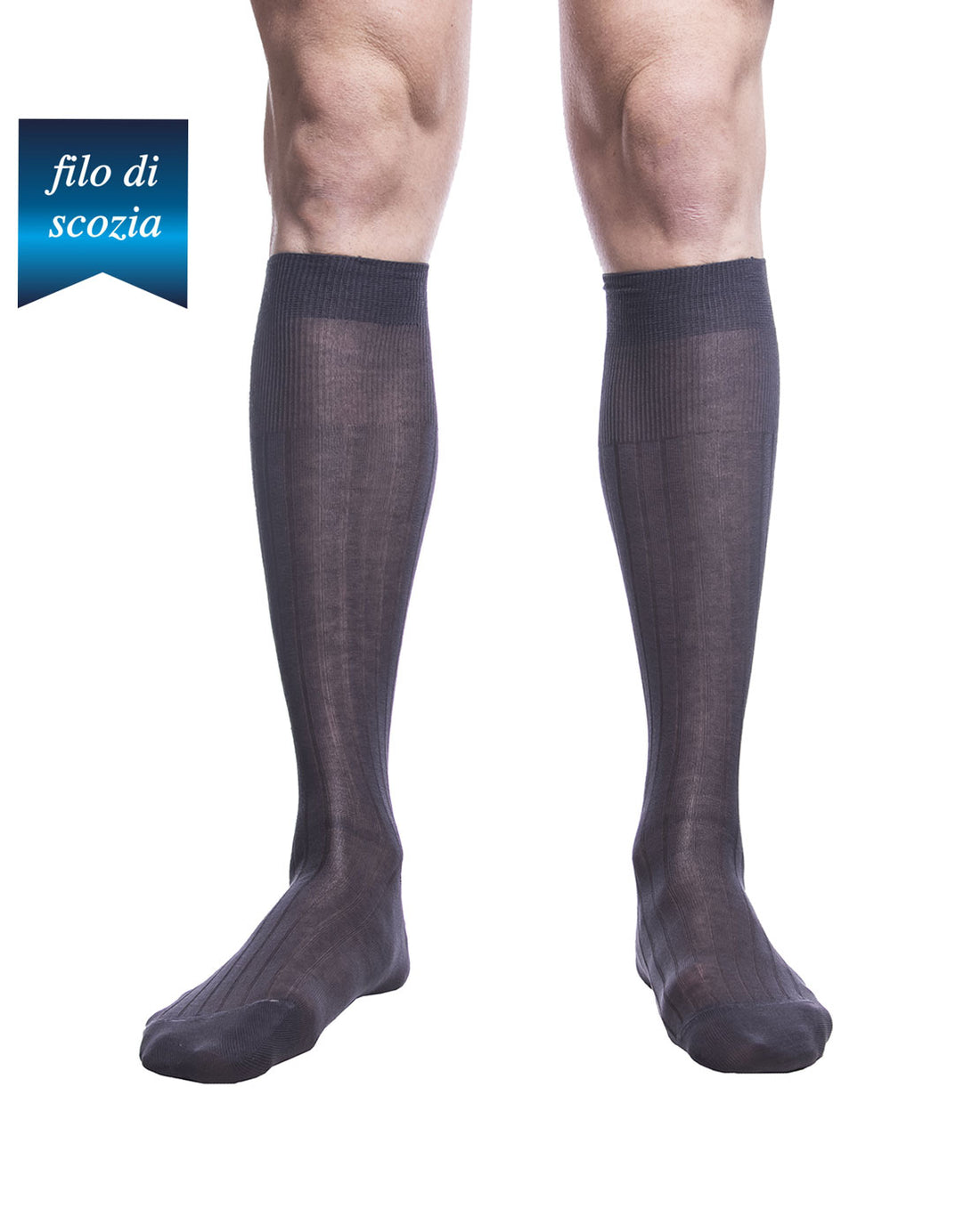 Calze Lunghe Uomo Costine Filo Scozia (6 paia) - 8555 Sistro