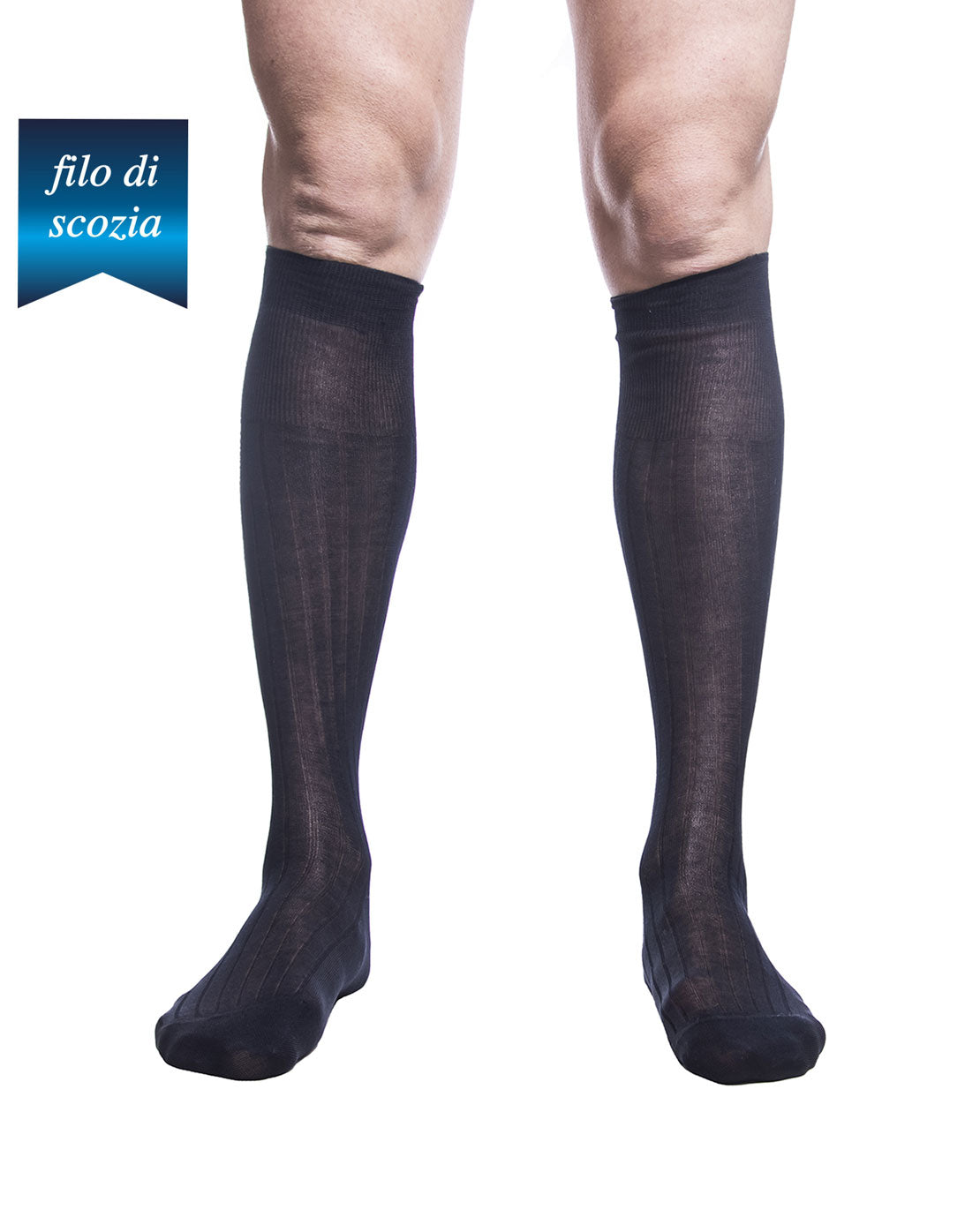 Calze Lunghe Uomo Costine Filo Scozia (6 paia) - 8555 Sistro