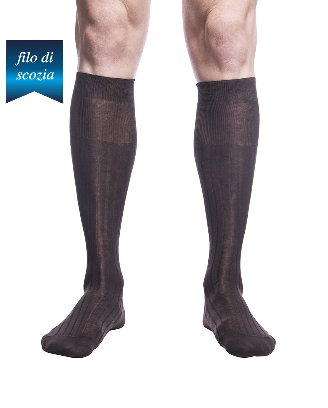 Calze Lunghe Uomo Costine Filo Scozia (6 paia) - 8555 Sistro