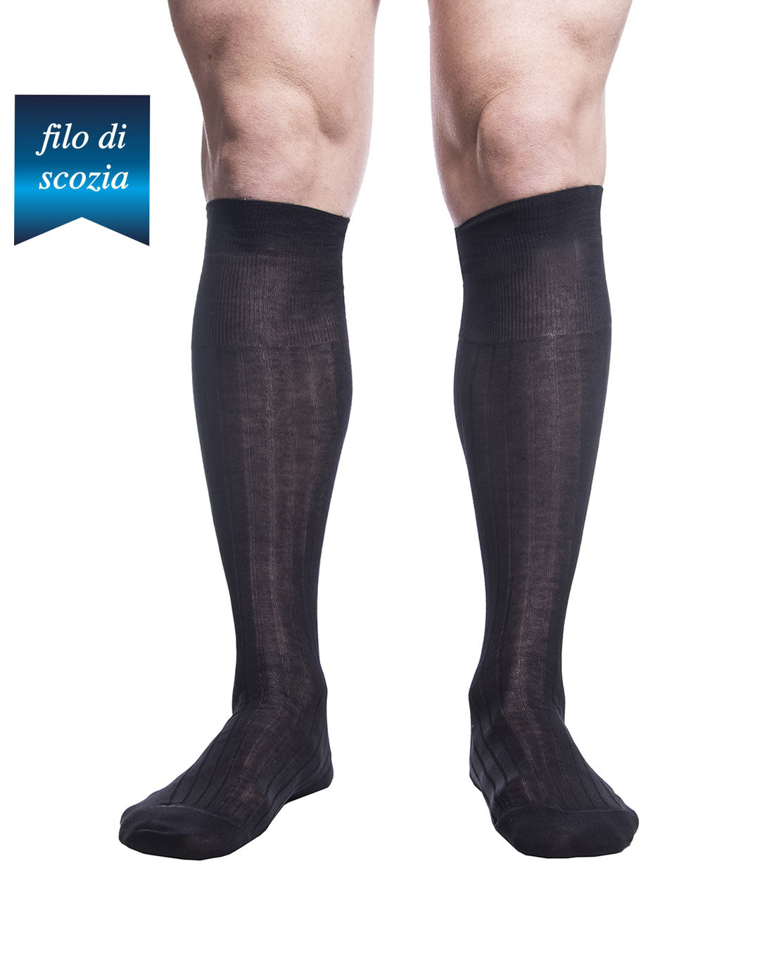 Calze Lunghe Uomo Costine Filo Scozia (6 paia) - 8555 Sistro