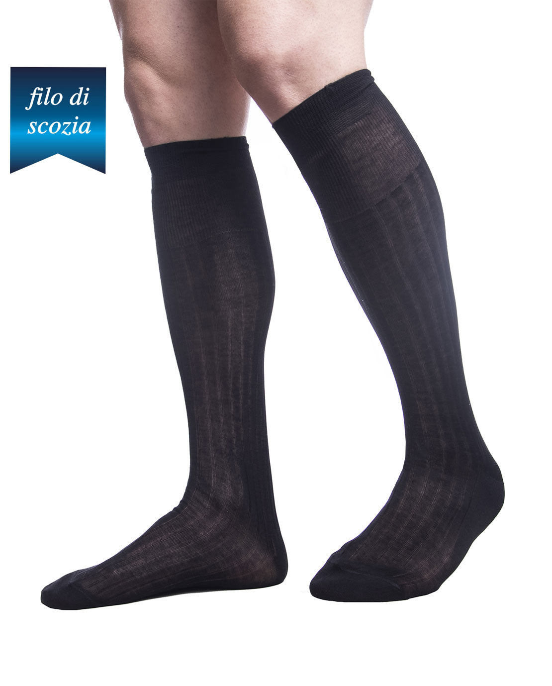 Calze Lunghe Uomo Costine Filo Scozia (6 paia) - 8555 Sistro